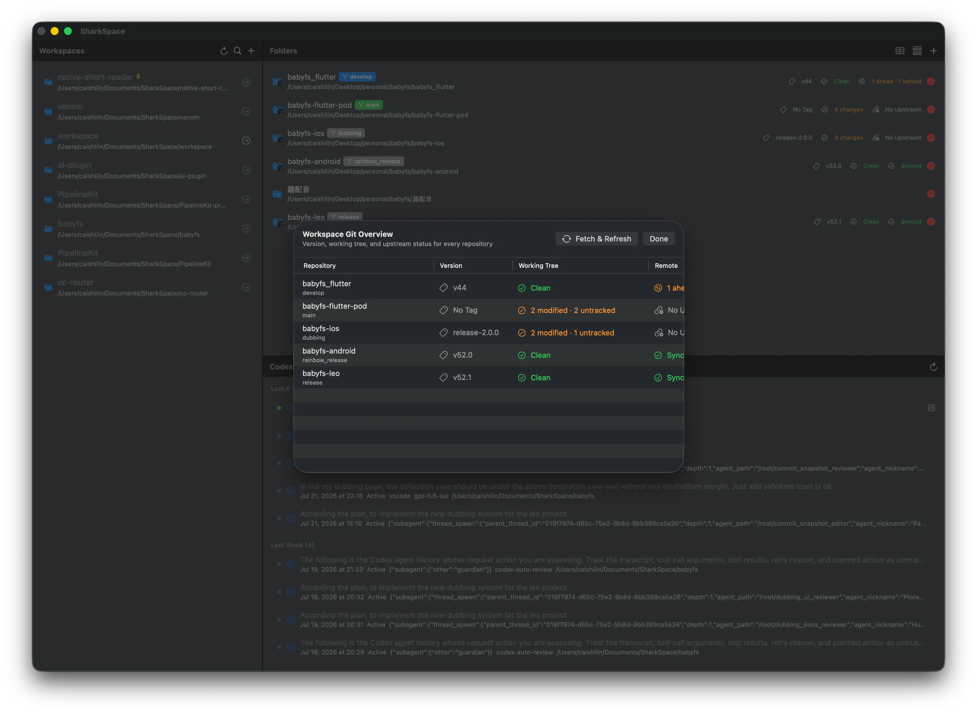 Real Shark Workspace Git Overview window